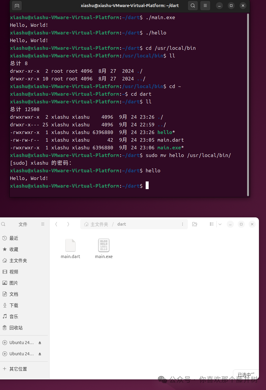 Linux Learning Notes (2): Dart