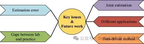 A Review of Online SOC and SOH Estimation for Lithium Batteries in Electric Vehicles