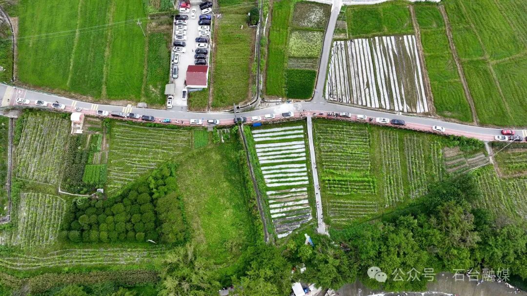 What Makes Xintang Village Popular This Summer?