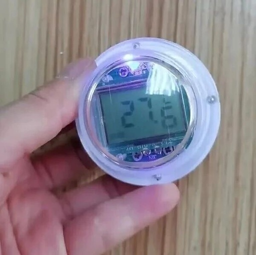 Development of Thermometer IC Chip Solutions for Children's Bathing Safety