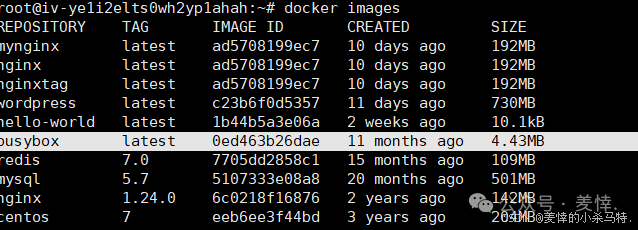 Mastering Docker End-to-End: Container Management, Nginx Homepage Customization, BusyBox Tool Practice, and Tencent Cloud Repository Deployment