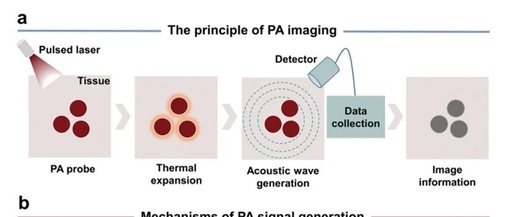 Small Molecule Photoacoustic Probes