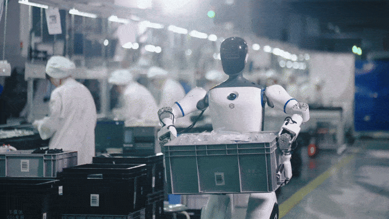 Exploring the Application Scenarios of Humanoid Robots