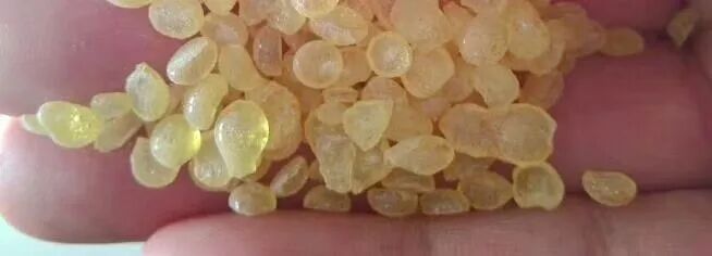 DRT France Pine Rosin Pentaerythritol Ester PLS