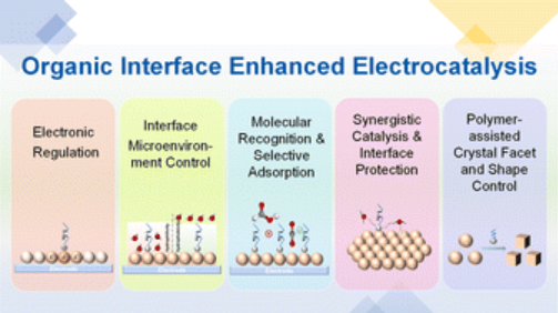 Organic Interface Enhanced Electrocatalysis