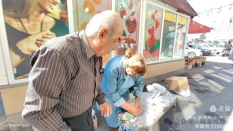 A Return Customer After Eating Fish; Cycling from 11°C to 38°C to Yerevan (Days 19-20 of Cycling in the Caucasus + Turkey)