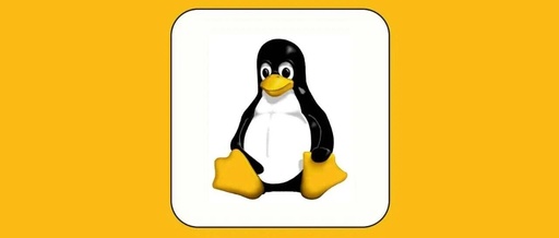 Using the Linux Terminal Without a Virtual Machine