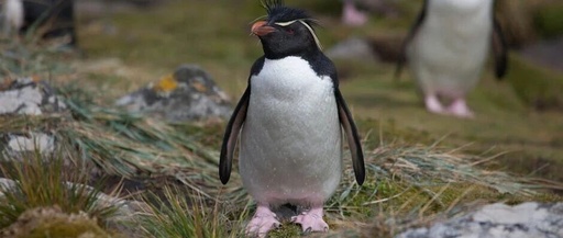 Daily Linux Command: Mount