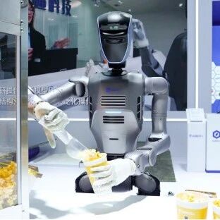 AI and Robotics Industry in Guangdong: Over 30 Local Companies Showcase Their Skills at the World Robot Conference - What Are the Highlights?
