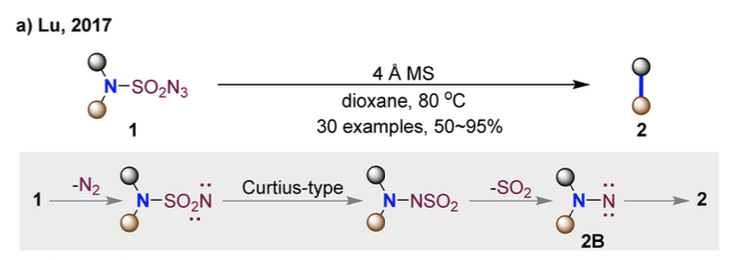 Review by Professor Hongjian Lu's Team at Nanjing University | Recent Advances in Skeleton Editing Based on Nitrogen Atom Manipulation