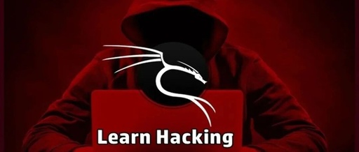 Top 20 Kali Linux Tools in 2021
