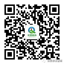 New County: AI Robot Smart Bidding Ensures Transparent Public Resource Transactions