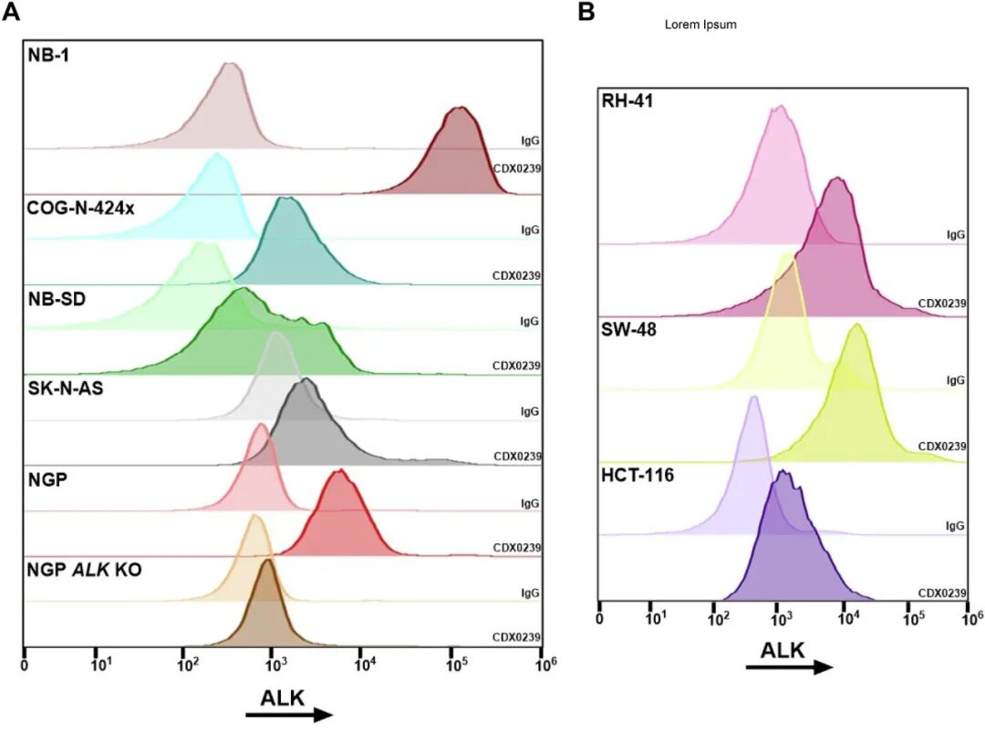 ALK-ADC Drug: Validation of Efficacy of ALK-Targeted Humanized Antibody-Drug Conjugate with Pyrrolobenzodiazepine Payload in ALK-Expressing Cancers