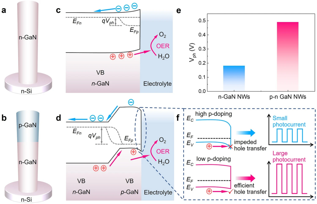 Novel Photoelectrochemical Photodetector Based on Semiconductor p-n Junction for Biosensing Applications