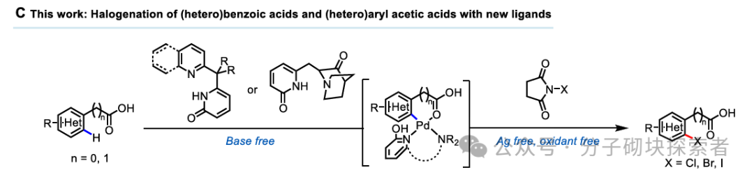 New Horizons in C–H Bond Halogenation Technology: A Practical Ligand Facilitating Efficient Halogenation of Aromatic Rings
