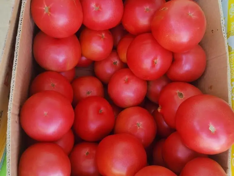 Weekly Tomato: High in Potassium and Vitamin C, You Won't Know How Good It Is Until You Try...