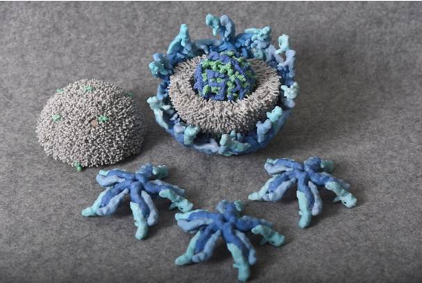 3D Printing of Viruses
