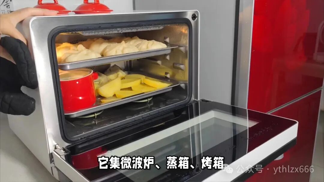 How to Choose an Integrated Steam Oven?