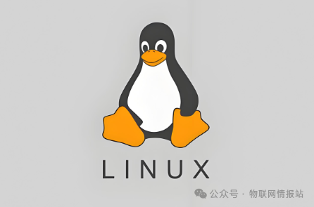 An Analysis of the Differences Between Windows and Linux