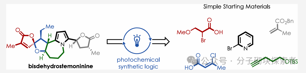 Photochemical Retrosynthetic Analysis Strategy Aids in Developing the Shortest Synthesis Route for Three Stemoamide Alkaloids