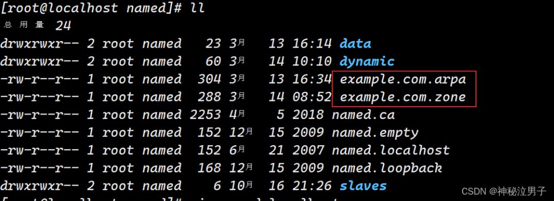 Setting Up a DNS Domain Name Resolution Server on Linux (Detailed Version)