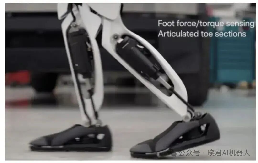 Comprehensive Overview of the Humanoid Robot Industry Chain