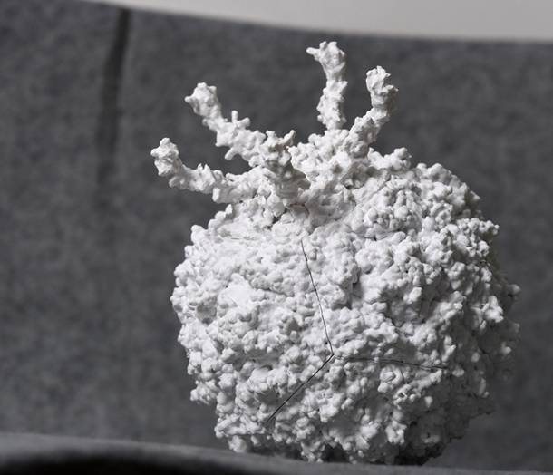 3D Printing of Viruses