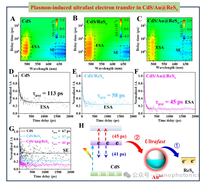 Plasmon-Induced Ultrafast Interfacial Charge Transfer for Enhanced Photocatalytic Hydrogen Evolution