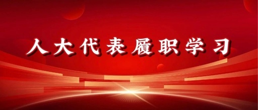 Compilation of Learning Materials on the Revised Representative Law (Part Six)