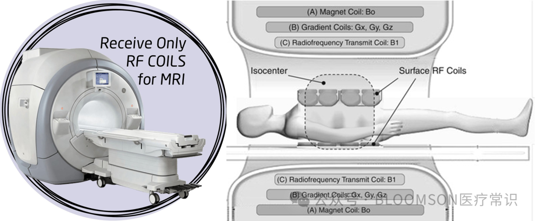 Overview of DWI and ADC Values in MRI