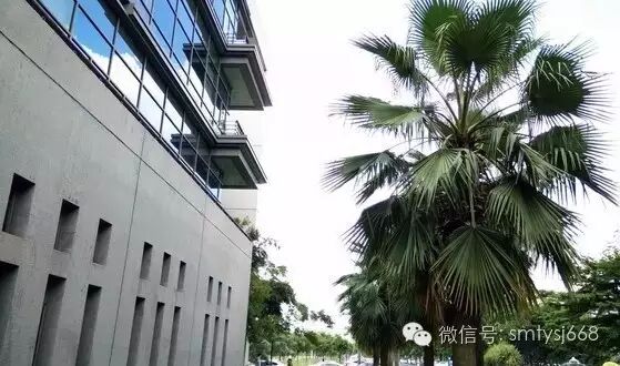 Huawei, OPPO, and VIVO: A Glimpse into Their High-End SMT Automated Production Lines!