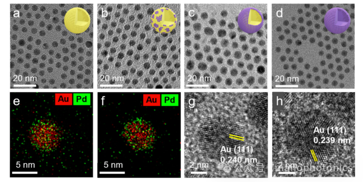 Impact of Hot Carrier Dynamics on Photoelectrocatalytic Activity on Au@Pd Antenna-Reactor Nanoparticles