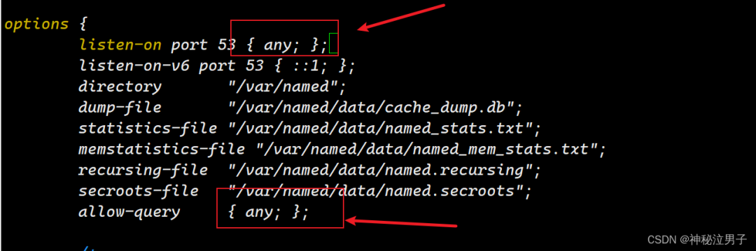 Setting Up a DNS Domain Name Resolution Server on Linux (Detailed Version)