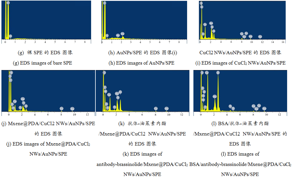 Electrochemical Immunosensor for In Situ Detection of Brassinolide