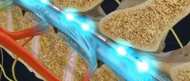 Spinal Cord 'Circuit Board' Damage? Decoding Neural Repair Technology: From Stem Cells to Electrical Stimulation, Restarting the Human 'Superpower' Blueprint!