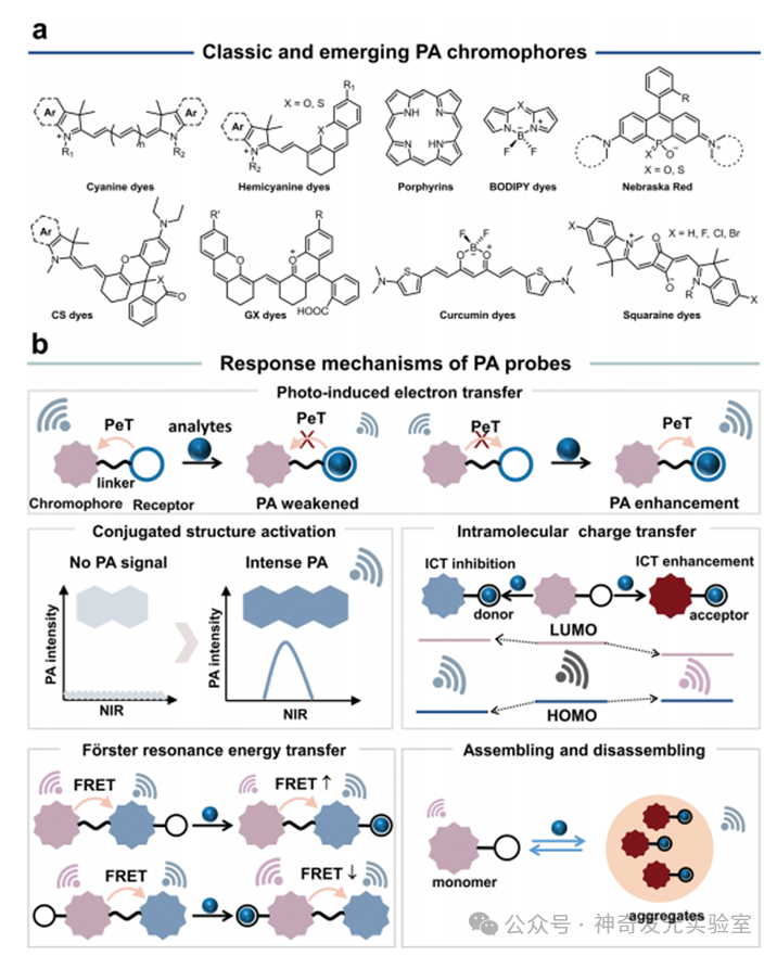 Small Molecule Photoacoustic Probes