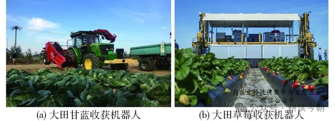 A Comprehensive Overview of Agricultural Robot Development Worldwide
