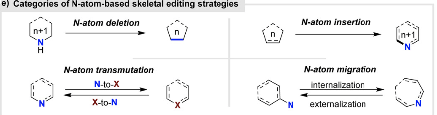 Review by Professor Hongjian Lu's Team at Nanjing University | Recent Advances in Skeleton Editing Based on Nitrogen Atom Manipulation