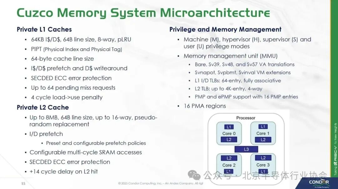 Breaking the Norm with a RISC-V Chip
