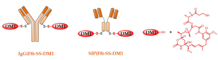 The Evolution of Antibody-Drug Conjugates (ADCs)