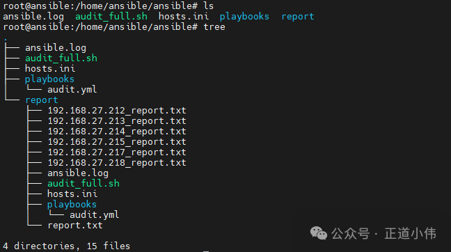 Ansible Practical Application (Part 3): Fully Automated System Inspection + Summary Report Email, One-Click Operations
