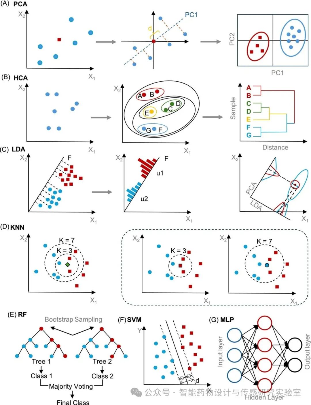 Cross-Responsive Fluorescence Sensor Arrays Combined with Machine Learning for Dietherapeutic Phytochemicals Recognition in Food-Medicine Homology Products