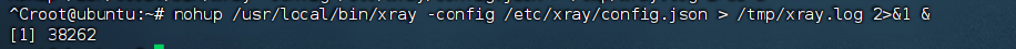 Using Xray for Proxy Traffic Splitting on Domestic Servers/Linux Systems to Solve the Challenge of Accessing Overseas Resources