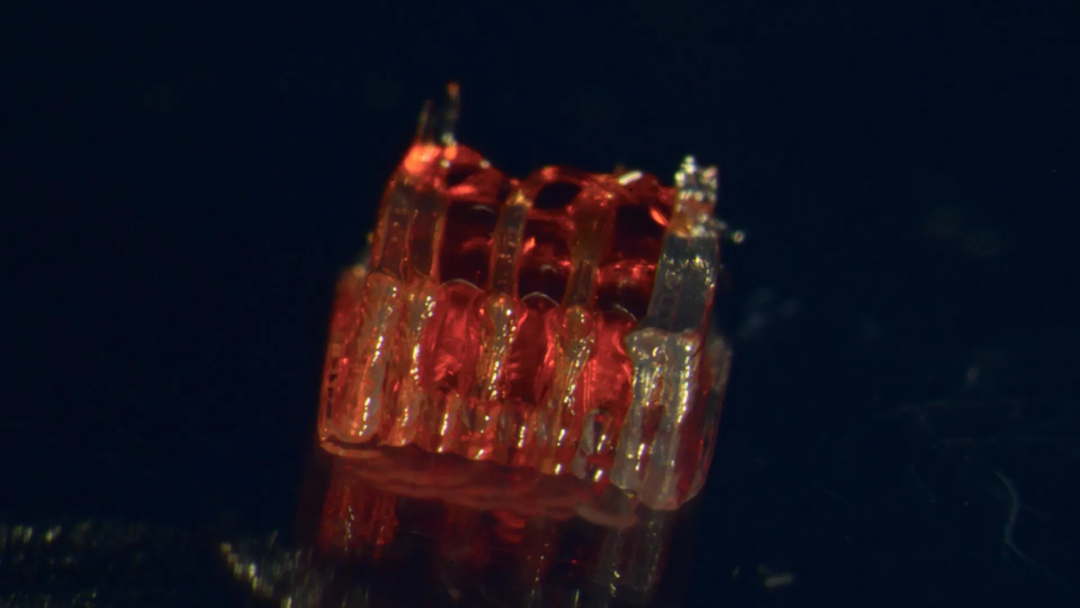 Breakthrough in Spinal Cord Repair Using 3D Printing Restores Walking Ability in Rats