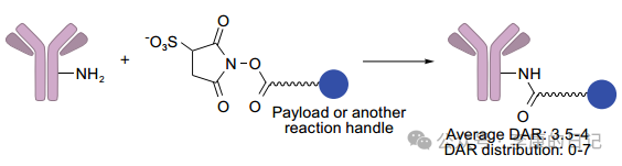 Summary and Reflections on the Application of Chemical Industry Technology 3 - ADC/XDC Conjugation (Pharmaceutical Industry)