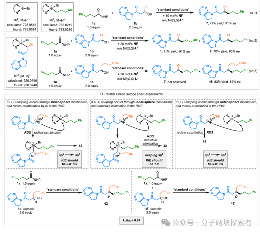 Synergistic Construction of Chiral Carbon Centers via Photocatalytic Nickel Catalysis