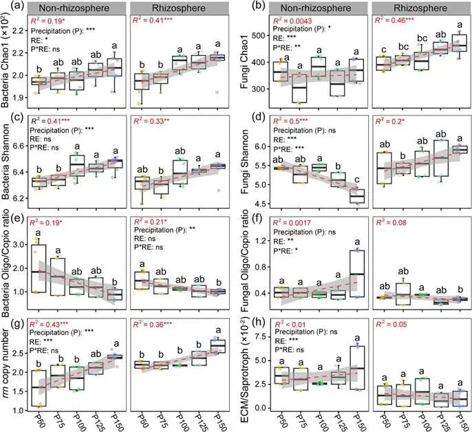 Divergent Mechanisms of Rhizosphere and Non-Rhizosphere Soil Organic Carbon Sequestration Under Precipitation Variability: Evidence from Microbial Life-History Strategies