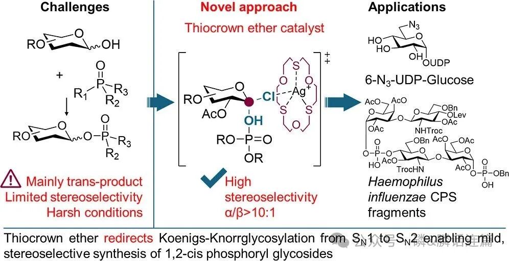 Thiocrown Ether: Reversing SN1 to SN2 Pathways in 1,2-cis Phosphoryl Glycosylation