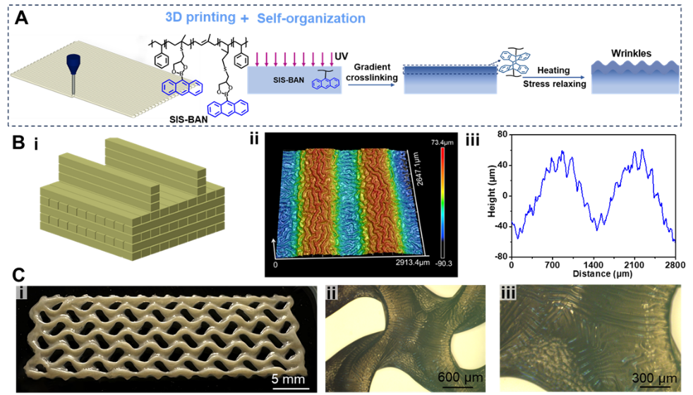 3D Printing and Self-Organization for Multi-Scale Energy-Efficient Wrinkled Surfaces