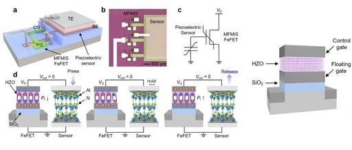 Near-Sensor Analog Computing Based on Piezoelectric Sensors and FeFET for Tactile Sensing Systems